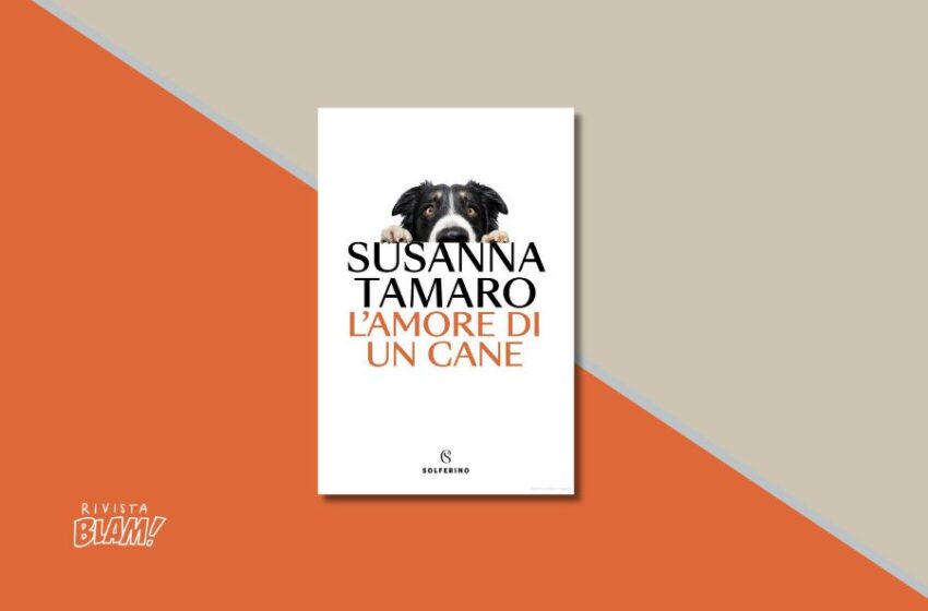  “L’amore di un cane” di Susanna Tamaro: storia personale della scrittrice di un legame senza condizioni